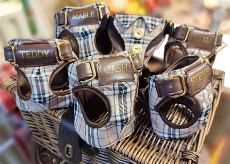 pet value burberry harness|burberry home accessories.